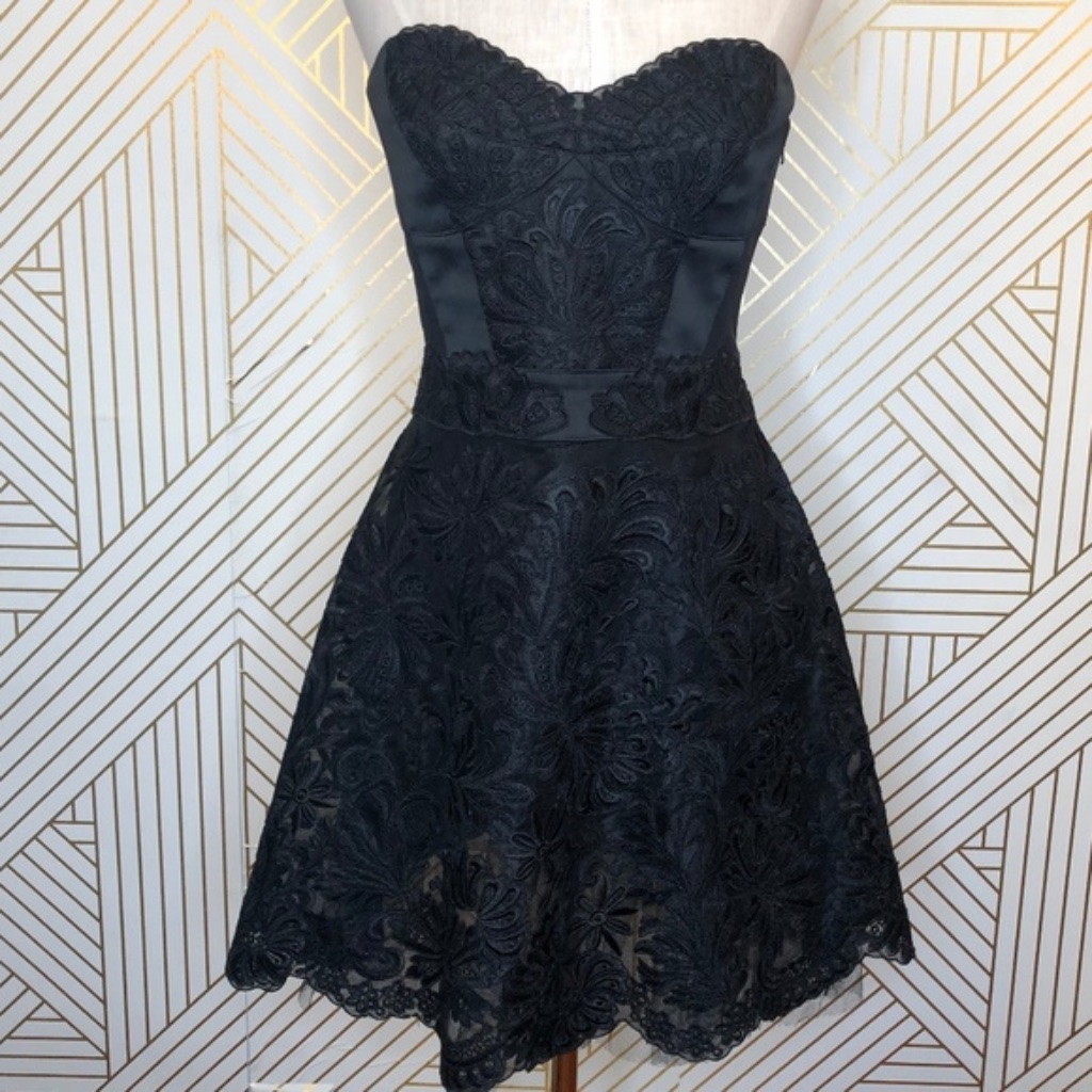 Karen Millen Coated Lace Tutu Dress